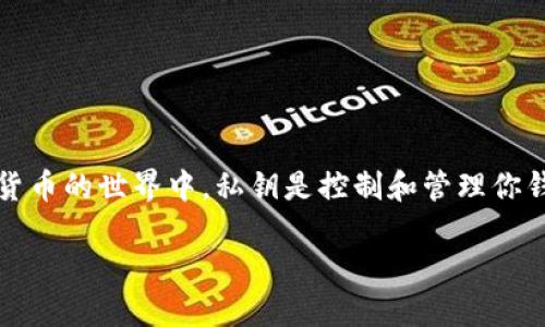 在讨论TP钱包（TokenPocket）私钥的相关内容之前，首先需要介绍一下什么是私钥以及私钥在数字货币交易中的重要性。在数字货币的世界中，私钥是控制和管理你钱包中数字资产的唯一凭据，它确保只有拥有私钥的人才能访问和使用相应的资产。因此，了解如何找到和保护你的私钥至关重要。

### 如何安全找到TP钱包的私钥