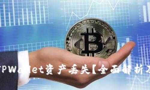 如何应对TPWallet资产丢失？全面解析及解决方案