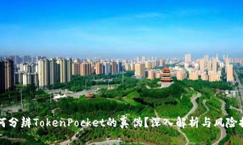 如何分辨TokenPocket的真伪？深入解析与风险提示