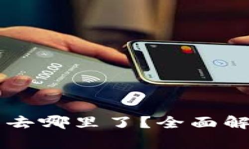 TPWallet兑换的币去哪里了？全面解析与常见问题解答