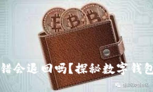 TPWallet转错会退回吗？探秘数字钱包的安全机制