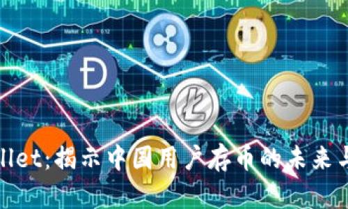 TPWallet：揭示中国用户存币的未来与风险