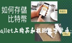 如何在TPWallet上购买和提现