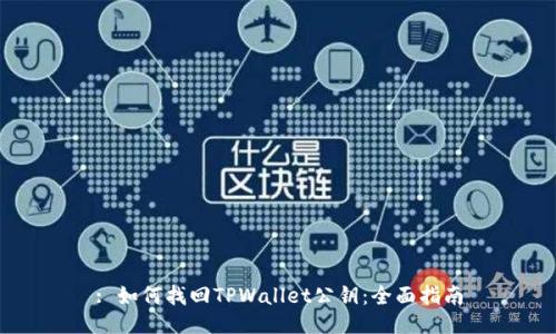 : 如何找回TPWallet公钥：全面指南