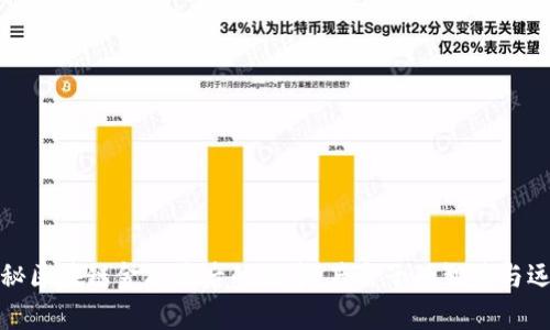 揭秘区块链金融背后的故事：薛蛮子的智慧与远见