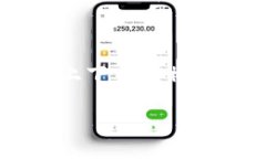 tpwallet 是一款加密货币钱