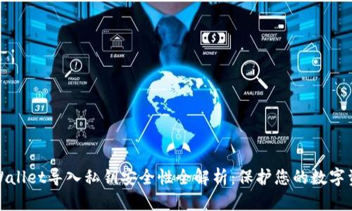 tpWallet导入私钥安全性全解析：保护您的数字资产