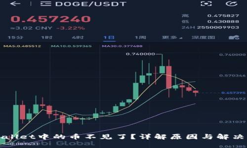 TPWallet中的币不见了？详解原因与解决办法