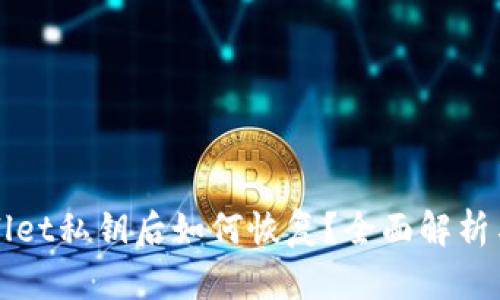 丢失TPWallet私钥后如何恢复？全面解析与应对措施