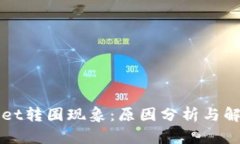 TPWallet转圈现象：原因分析与解决方案