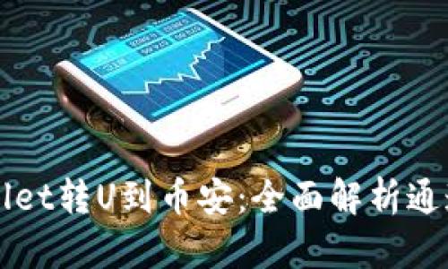 从TPWallet转U到币安：全面解析通道与流程